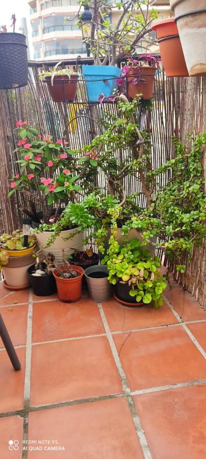 Apartamento Turistico Florhouse San Luis de Sabinillas Extérieur photo